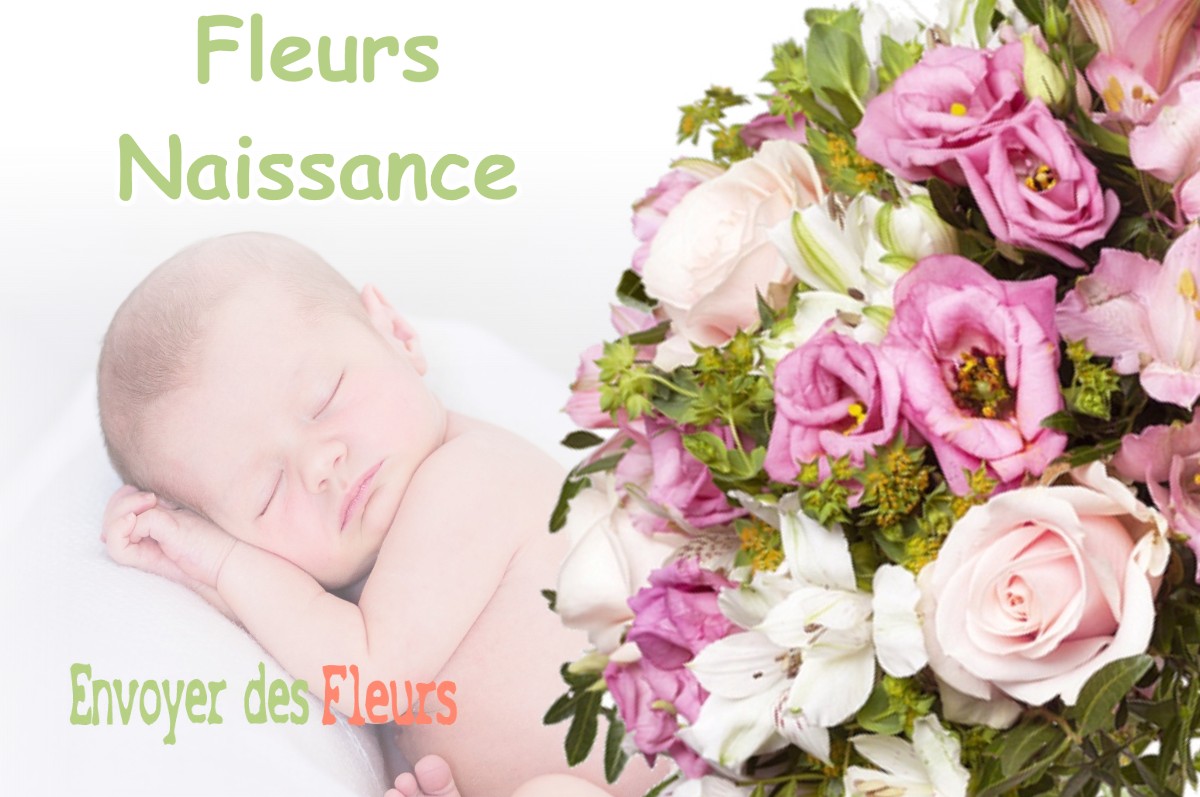 lIVRAISON FLEURS NAISSANCE à DIEMOZ